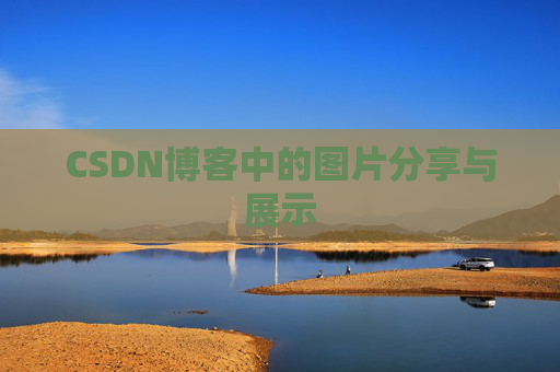 CSDN博客中的图片分享与展示